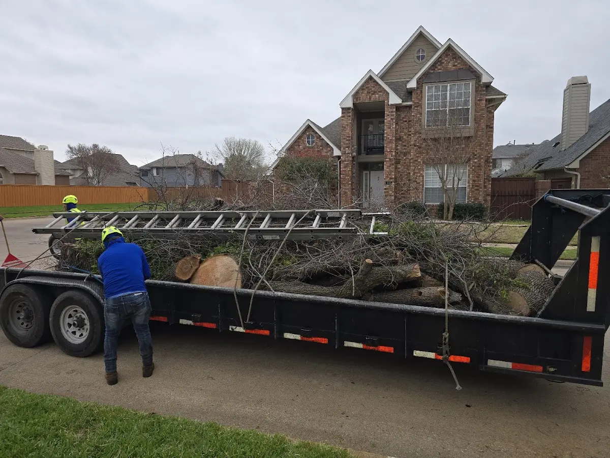 Expert Tree Pest Control with proper safety equipment in Endicott